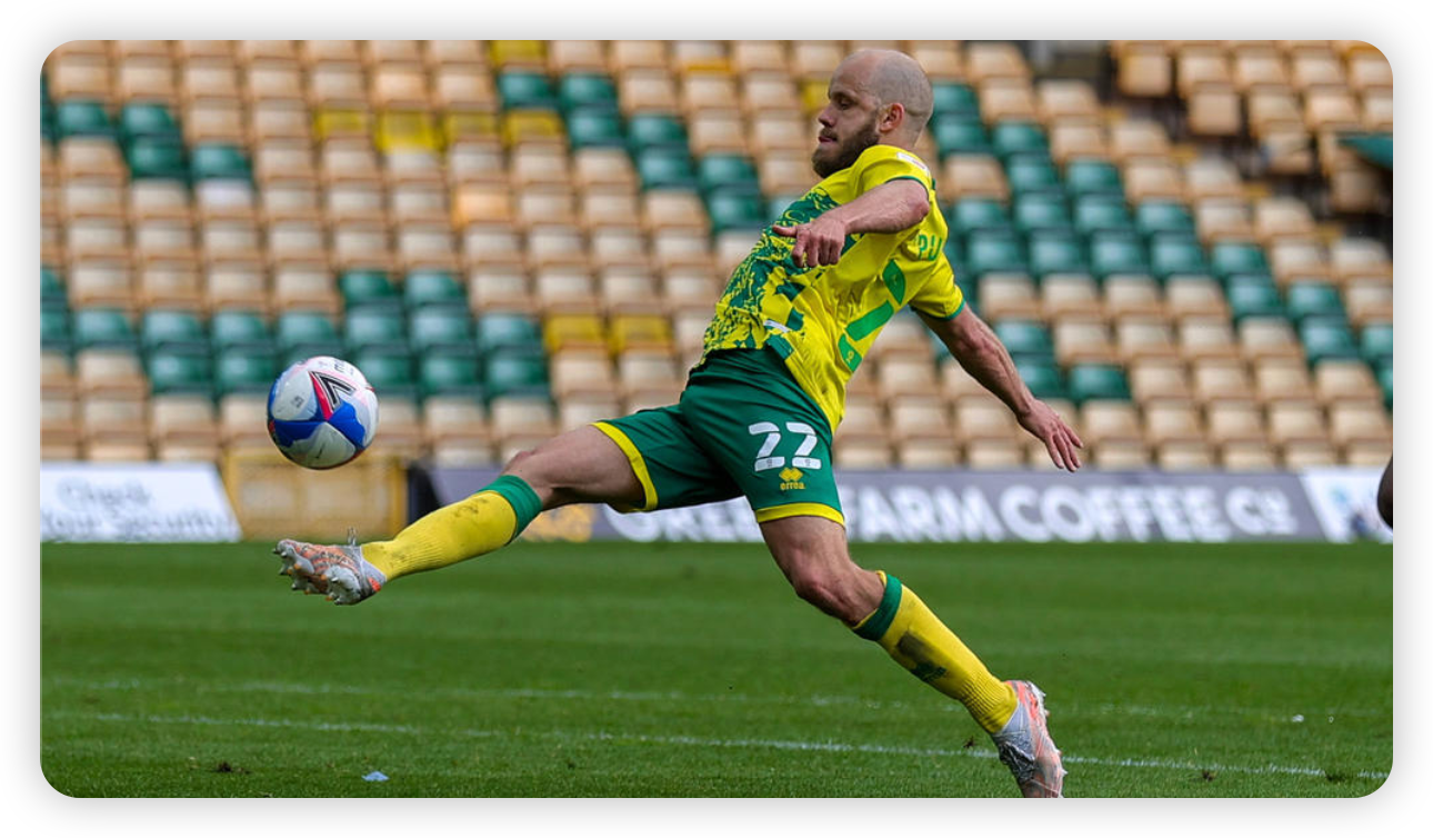 The Pukki Party: A Nation's Dream Realized